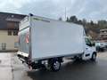 Nissan Interstar Koffer Humbaur Flexbox L3H1 3,5t FWD N Weiß - thumbnail 5