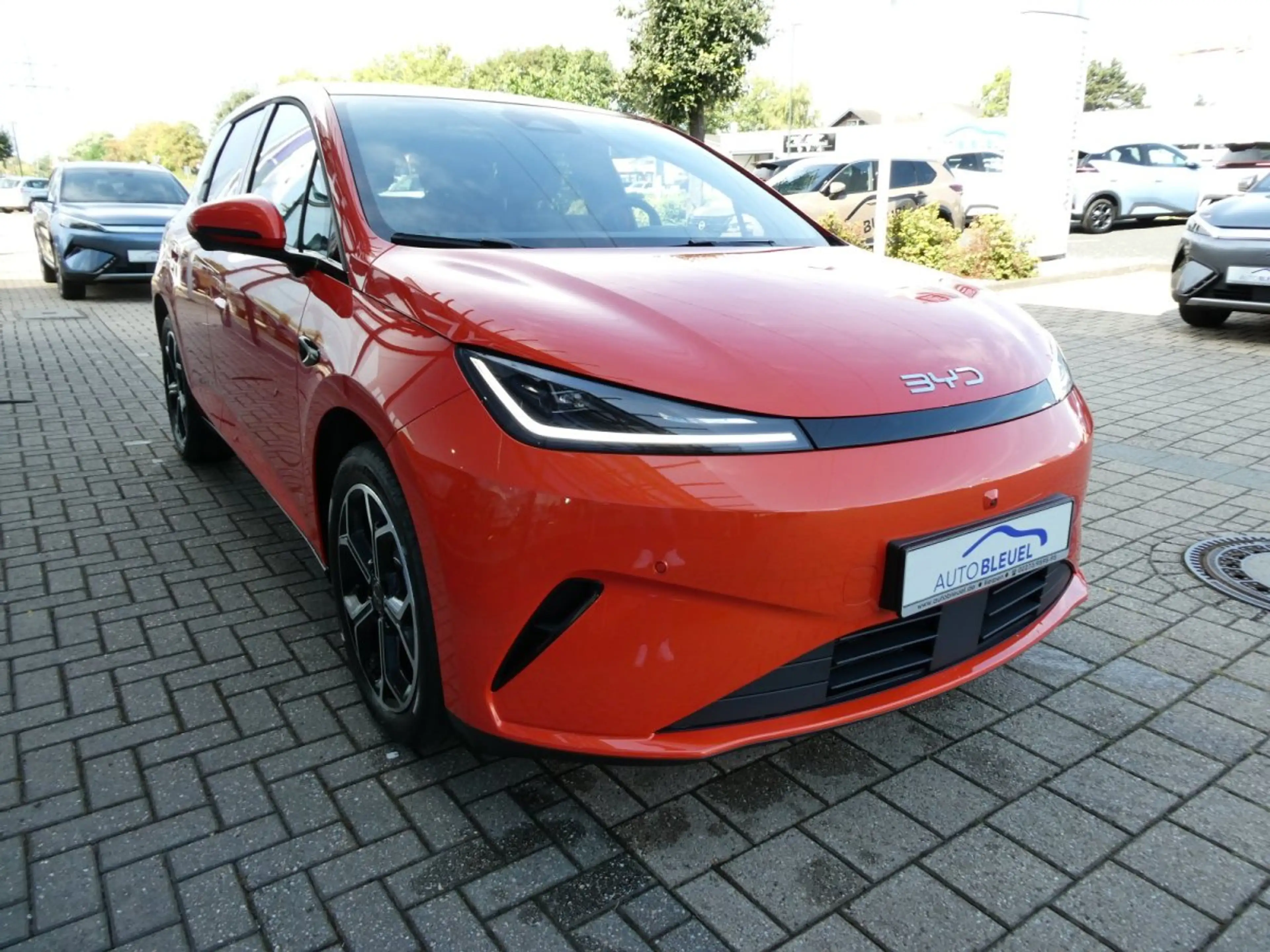 BYD Dolphin G DM-i Comfort*18,3 kWh *Glasdach*Head-Up*360Grad — photo 5