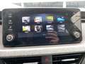 Skoda Scala Drive 1.0 TSI DSG Matrix-LED Smart Link+ Klima Blanc - thumbnail 17