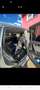 Audi Q7 3.0 TDI DPF quattro tiptronic - thumbnail 5