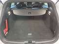 Ford Focus Turnier 1,5 EcoBlue ST-Line Aut. Weiß - thumbnail 5
