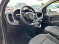 Fiat Panda 1.0 Hybrid City Cross Gris - thumbnail 11