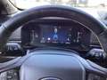 Ford Ranger 2,0 l EcoBlue DoKa Autm. Wildtrak Raptor Umbau Weiß - thumbnail 12