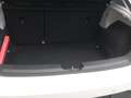 SEAT Leon 1.5 TSI ACT OPF FR Weiß - thumbnail 20