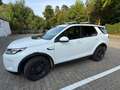 Land Rover Discovery Sport D150 - thumbnail 6