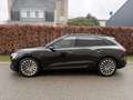 Audi e-tron e-tron 55 quattro advanced Pro Line Plus 95 kWh / Schwarz - thumbnail 20