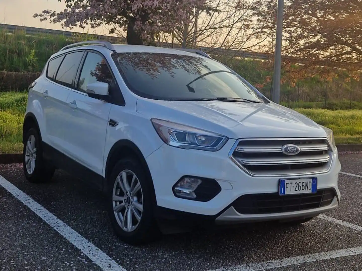 Ford Kuga Kuga II 2017 2.0 tdci Business s White - 1