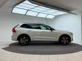 Volvo XC60 R Design 2WD RFK*PANO*VOLL-LEDER*ACC*LR-HZNG*LED* Weiß - thumbnail 8