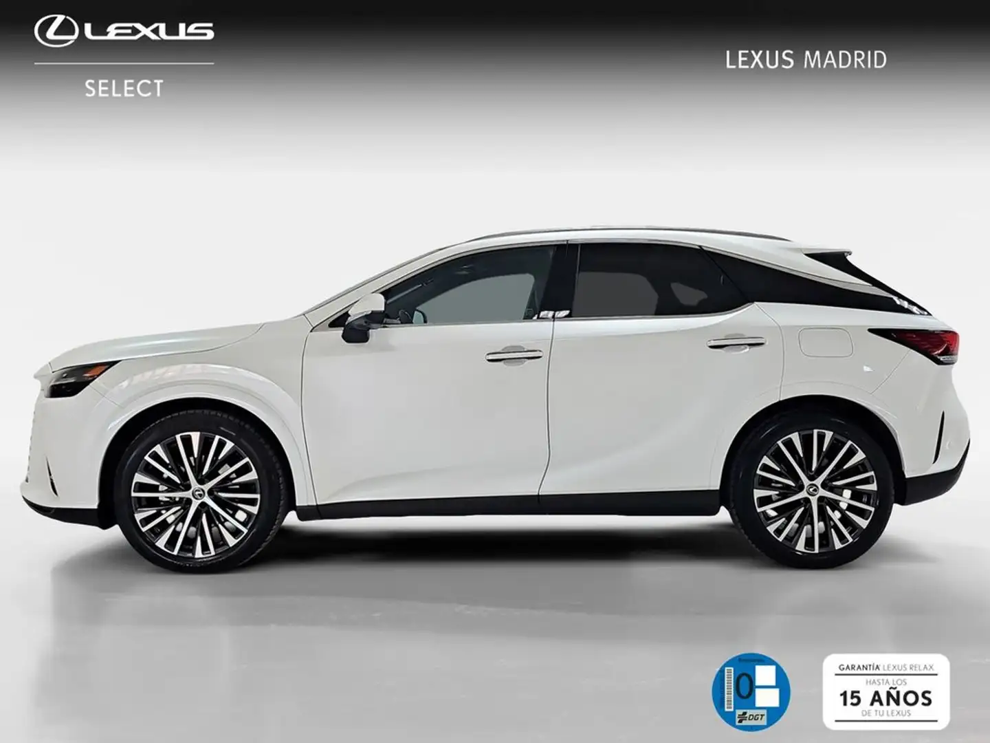 Lexus RX 450h 450h+ Executive Blanco - 2