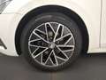 Skoda Octavia Combi 1.5 TSI ACT Ambition LED PDC Weiß - thumbnail 5