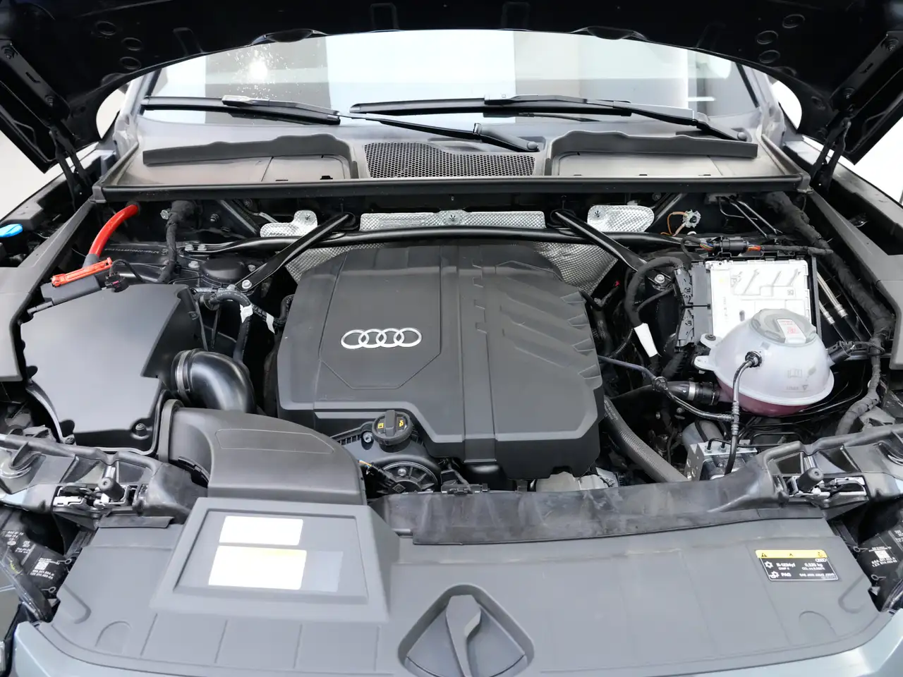Audi Q5 fotografie Audi Q5