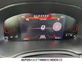 SEAT Ibiza 1.0 TSI XCELLENCE LED SHZ NAVI DAB ALLWETTER Rouge - thumbnail 11
