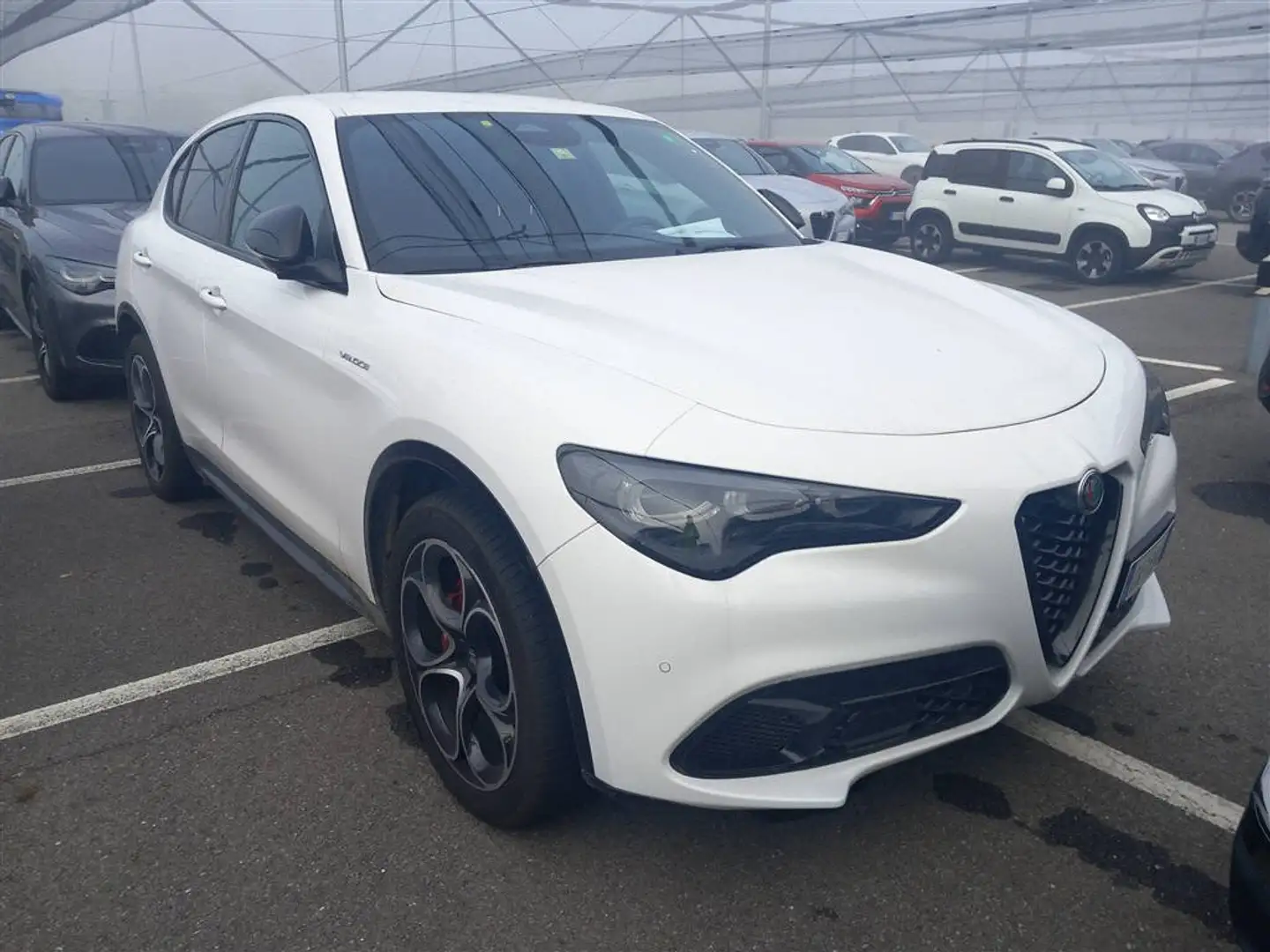 Alfa Romeo Stelvio 2.2 Turbo Veloce Blanco - 2