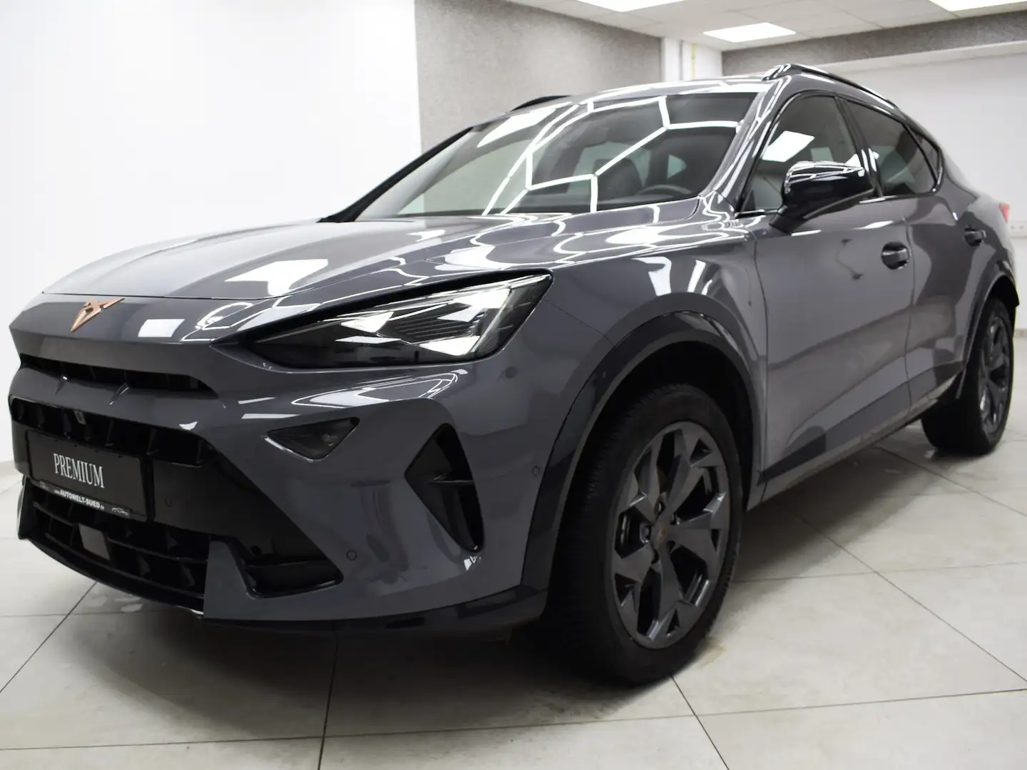 CUPRA Formentor 2.0 TDI DSG Edge Pano 360° 5J Garantie Grau - 2