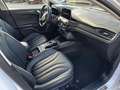 Ford Focus Vignale | Standh | | Panorama | AHK | B&O | Leder Weiß - thumbnail 19