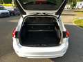 Ford Focus Vignale | Standh | | Panorama | AHK | B&O | Leder Weiß - thumbnail 7