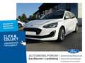 Ford Focus Vignale | Standh | | Panorama | AHK | B&O | Leder Weiß - thumbnail 1