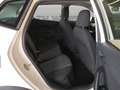 SEAT Arona 1.6 tdi Style 95cv Blanc - thumbnail 12