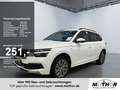 Skoda Kamiq Clever 1.0 TSI DSG Navi via Smartlink ACC Weiß - thumbnail 1