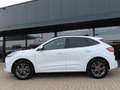 Ford Kuga 2.5 PHEV ST-LINE X Led Navi 18 Inch Trekhaak 2021 Weiß - thumbnail 4