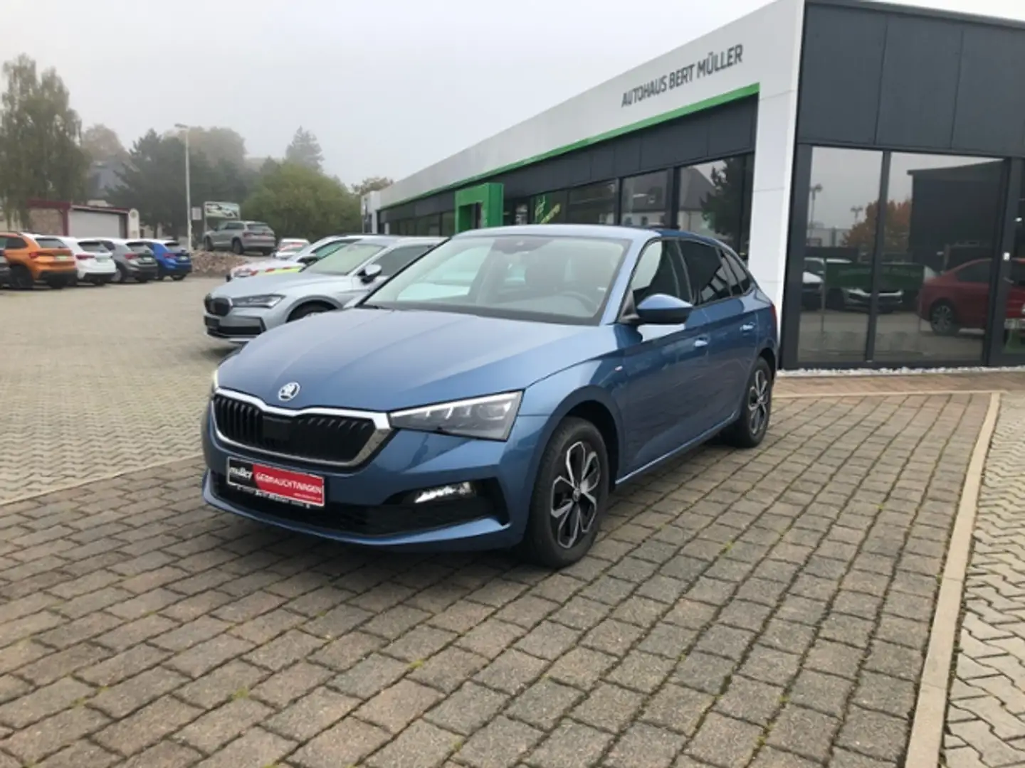 Skoda Scala Drive 125 LED SmartLink DAB PDC Blau - 2