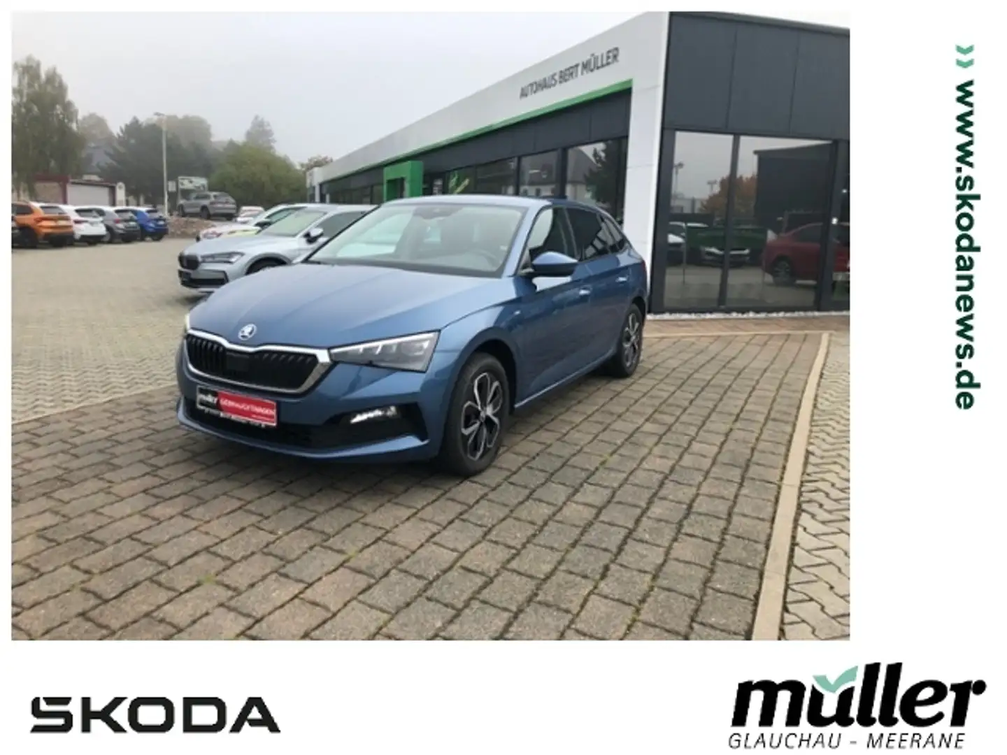 Skoda Scala Drive 125 LED SmartLink DAB PDC Blau - 1
