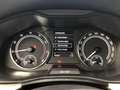 Skoda Scala Drive 125 LED SmartLink DAB PDC Blau - thumbnail 19