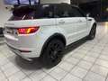 Land Rover Range Rover Evoque RESTYLING E6 KM74.774 SPECIAL EDITION Weiß - thumbnail 4