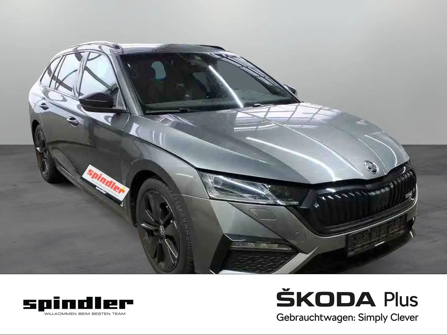 Skoda Octavia Combi RS 2.0 TSI DSG / Matrix, SmartLink Grau - 1