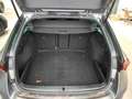 Skoda Octavia Combi RS 2.0 TSI DSG / Matrix, SmartLink Grau - thumbnail 9