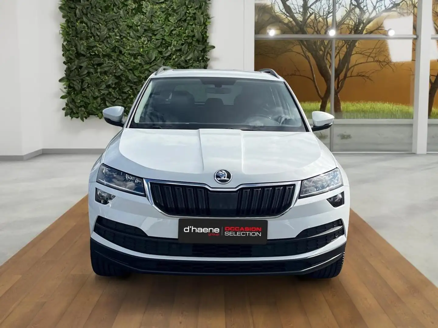 Skoda Karoq Karoq 1.6 CR TDi SCR Ambition Blanc - 2