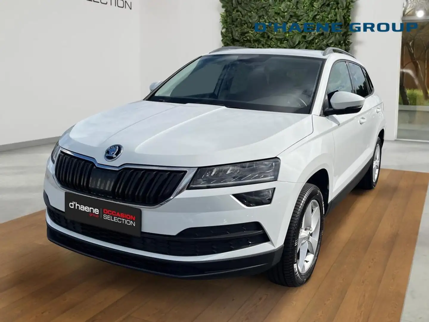 Skoda Karoq Karoq 1.6 CR TDi SCR Ambition Blanc - 1