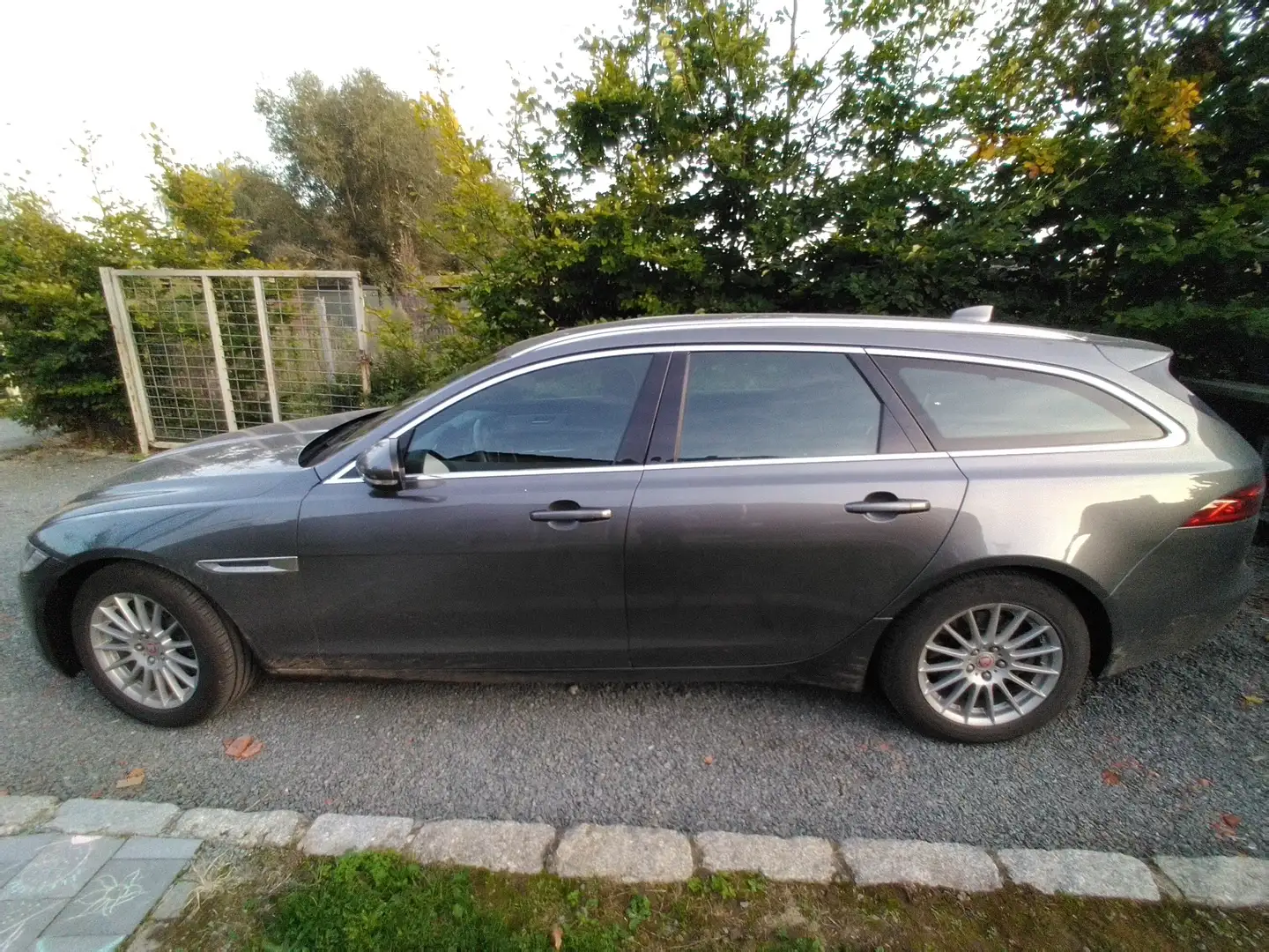 Jaguar XF XF E-Performance Sportbrake Aut. Portfolio Gris - 2