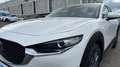 Mazda CX-30 2025 2.5 e-SKYACTIV G MHEV 140CV 6MT FWD PRIME LIN Blanco - thumbnail 18