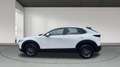 Mazda CX-30 2025 2.5 e-SKYACTIV G MHEV 140CV 6MT FWD PRIME LIN Blanco - thumbnail 7