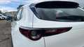 Mazda CX-30 2025 2.5 e-SKYACTIV G MHEV 140CV 6MT FWD PRIME LIN Blanco - thumbnail 19