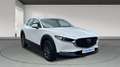 Mazda CX-30 2025 2.5 e-SKYACTIV G MHEV 140CV 6MT FWD PRIME LIN Blanco - thumbnail 3