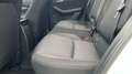 Mazda CX-30 2025 2.5 e-SKYACTIV G MHEV 140CV 6MT FWD PRIME LIN Blanco - thumbnail 13