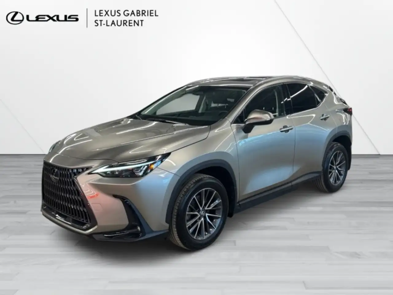 2022 Lexus NX