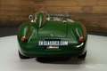 Fiat Barchetta 1100 Zeldzame racer | Goede staat | 1956 Zöld - thumbnail 15
