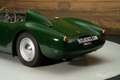 Fiat Barchetta 1100 Zeldzame racer | Goede staat | 1956 Groen - thumbnail 14