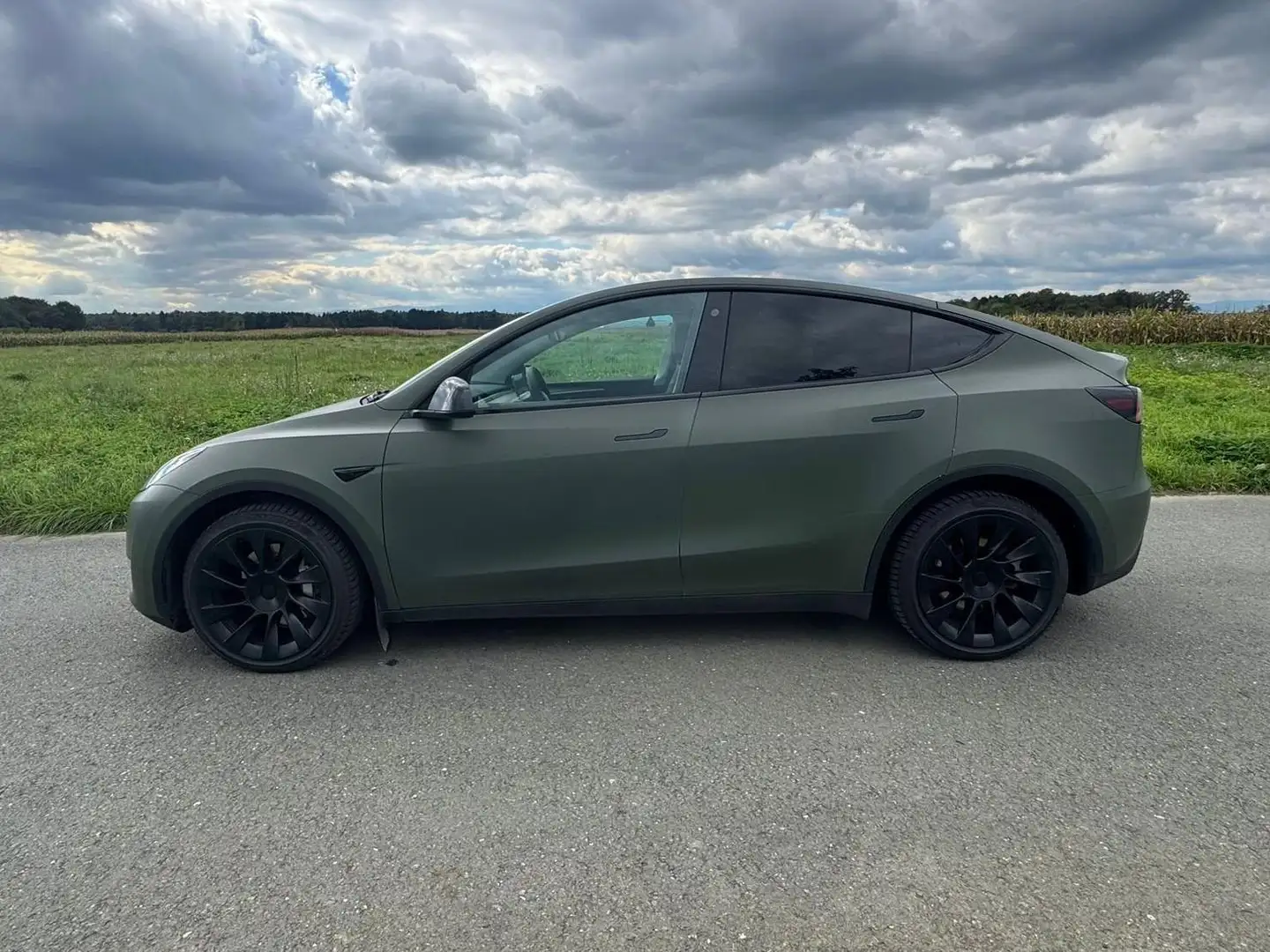 Tesla Model Y Tesla Model Y Long Range Dual Motor AWD Grün - 1