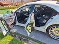 Mercedes-Benz CLS 55 AMG Carlsson Blanco - thumbnail 9