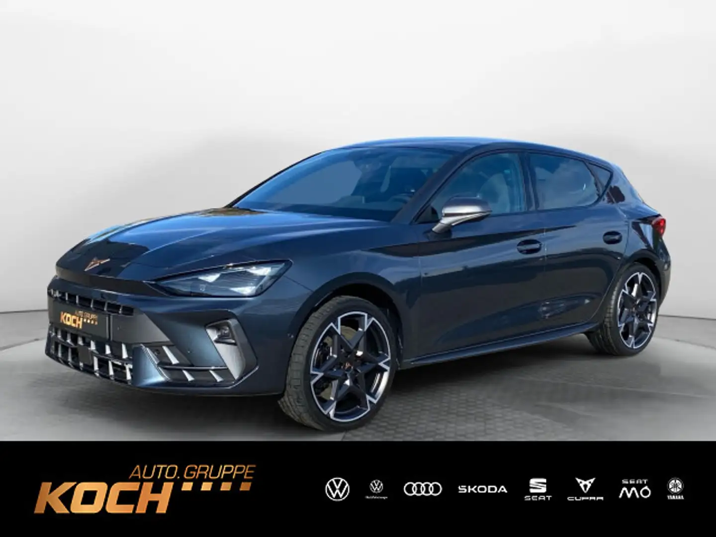 CUPRA Leon VZ 2.0 TSI 221 kW (300 PS) 7-Gang-DSG Grau - 1