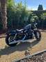 Harley-Davidson Sportster Forty Eight 1.200 cc Gris - thumbnail 2