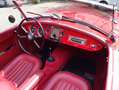 MG MGA kompleet gerestaureerde mga Červená - thumbnail 13