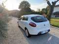 Fiat Bravo 1.6 mjt Dynamic 105cv - thumbnail 4
