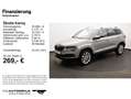 Skoda Karoq 1.0 TSI Clever Tempo/Einparkhi/Multilenk Grau - thumbnail 2