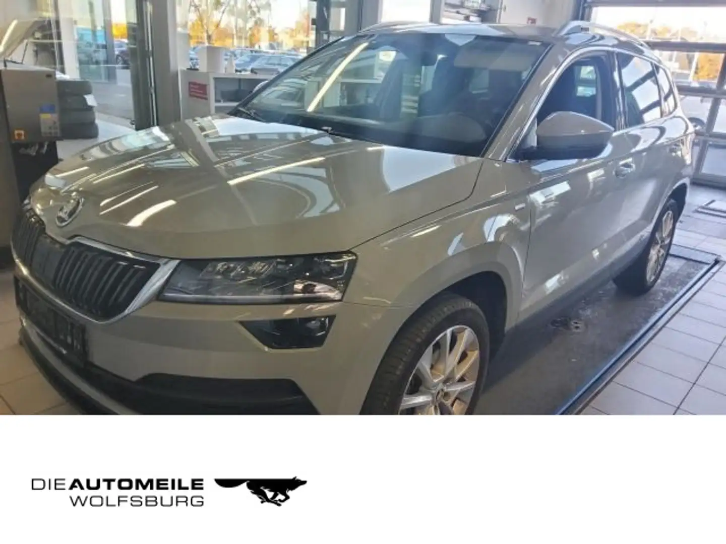 Skoda Karoq 1.0 TSI Clever Tempo/Einparkhi/Multilenk Grau - 1