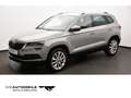 Skoda Karoq 1.0 TSI Clever Tempo/Einparkhi/Multilenk Grau - thumbnail 1